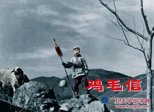 梅奥医学院硕士毕业证